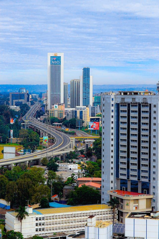 Mimo Branding Showcase
